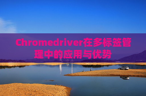 Chromedriver在多标签管理中的应用与优势 Chromedriver在多标签管理中的应用与优势