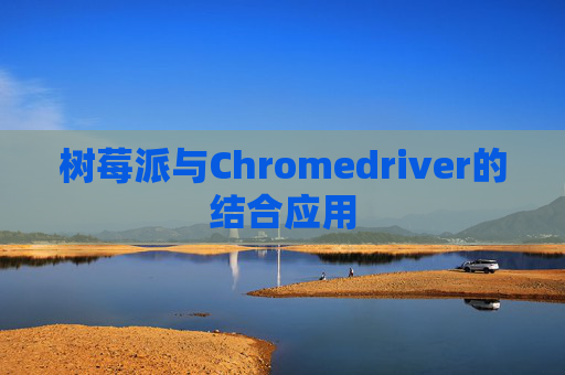 树莓派与Chromedriver的结合应用 树莓派与Chromedriver的结合应用
